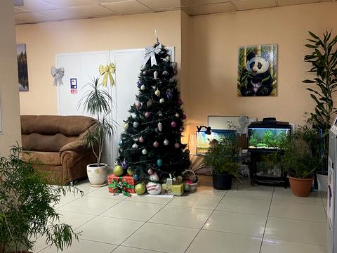 квартира по адресу Евгения Коновальца ул. (Щорса), 32-Б