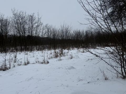 ділянка за адресою смт. Сутиски, Паркова 22