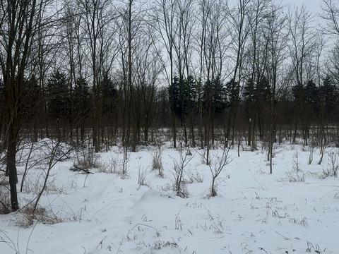 ділянка за адресою смт. Сутиски, Паркова 22