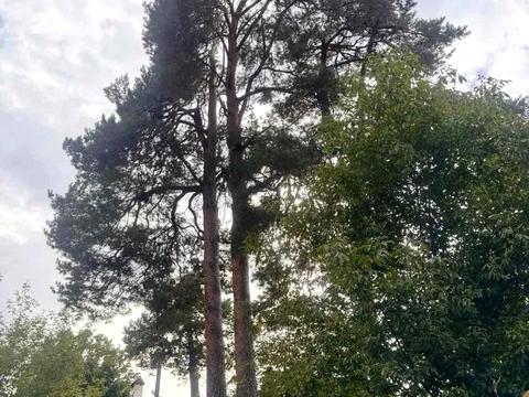 будинок за адресою Хвойна вул., 1