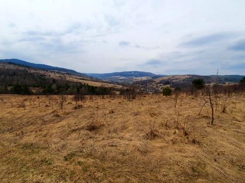 ділянка за адресою с. Опака, 