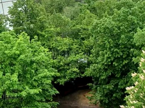 квартира за адресою 92 бригади вул., 47