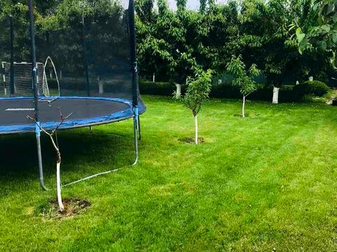 дом по адресу Провулок Європейський