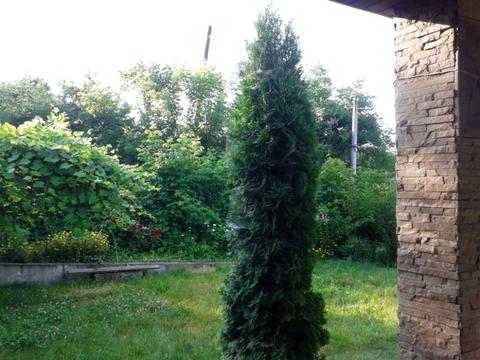 дом по адресу Шкільна, 10