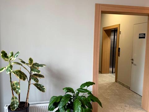 квартира по адресу Чубаевская ул., 11