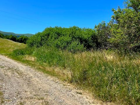 участок по адресу 