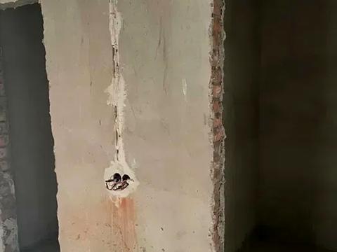 квартира за адресою Незалежності вул., 146 к1