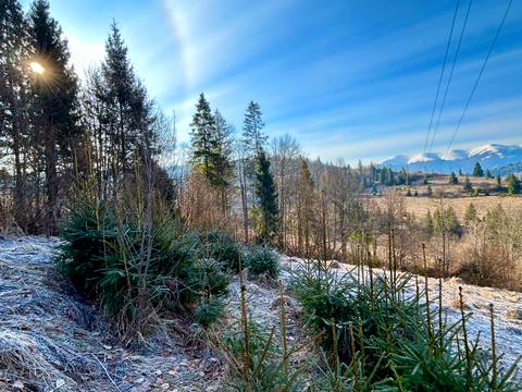 участок по адресу 