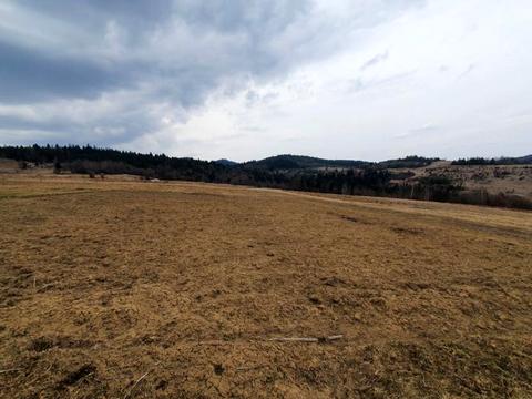 ділянка за адресою с. Опака, Тараса Шевченка вул.