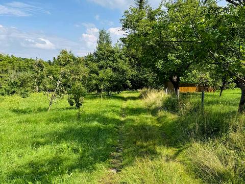 участок по адресу Павлика