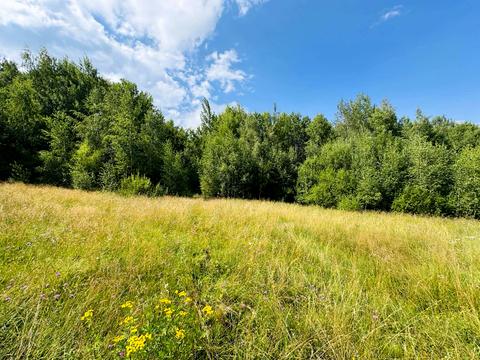 участок по адресу Павлика