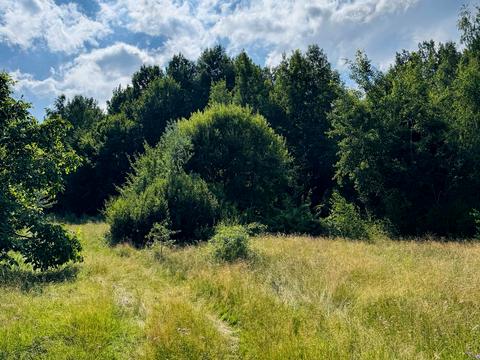 участок по адресу Павлика