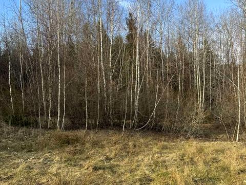 участок по адресу Павлика