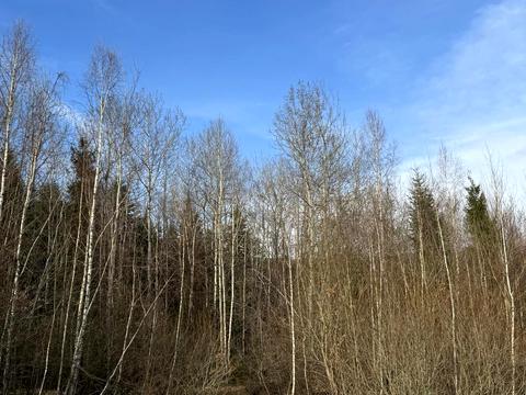 участок по адресу Павлика