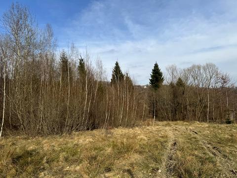 участок по адресу Павлика