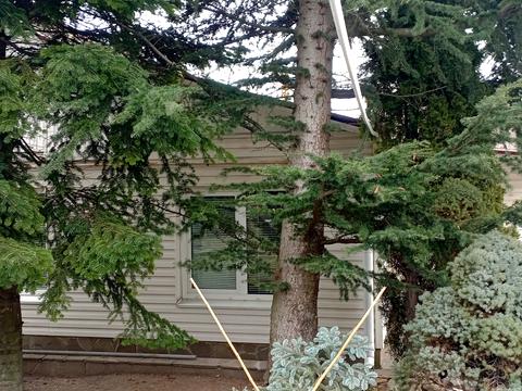 будинок за адресою Надії Алексєєнко вул. (Чичеріна), 111