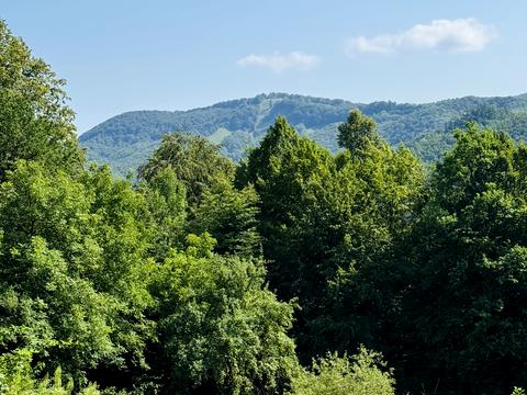 участок по адресу Лісна