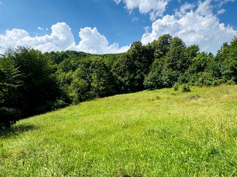 участок по адресу Лісна
