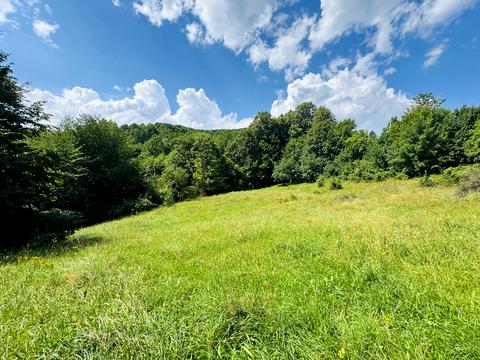 участок по адресу Лісна