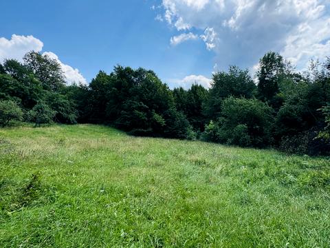 участок по адресу Лісна