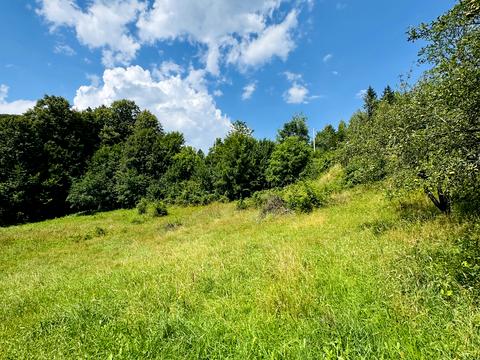 участок по адресу Лісна