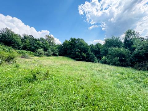 участок по адресу Лісна