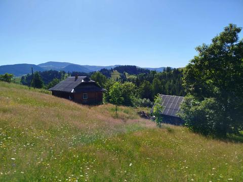 будинок за адресою Шевченка