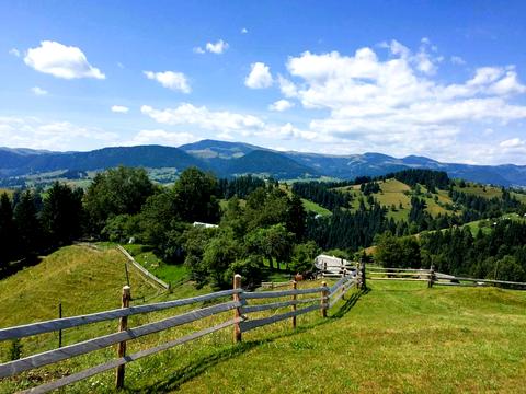 будинок за адресою Шевченка