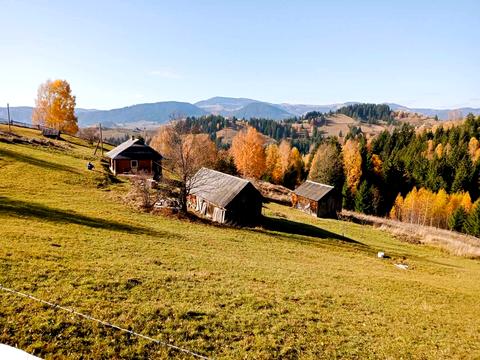 будинок за адресою Шевченка