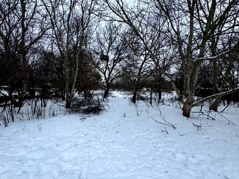 участок по адресу Чернишевського, 3