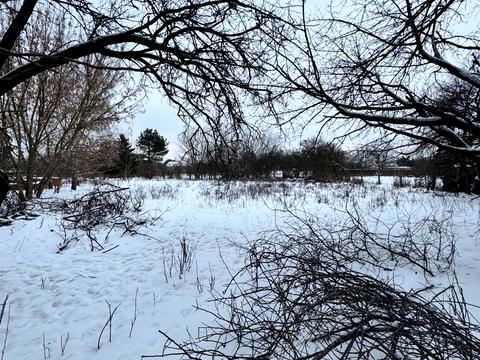 участок по адресу Чернишевського, 3