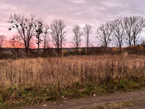участок по адресу с. Бартатов, 