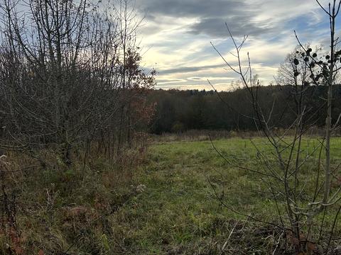 участок по адресу с. Бартатов, Садова