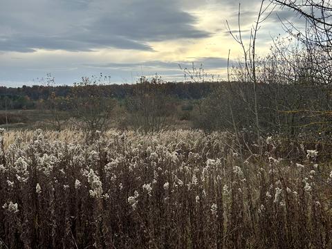участок по адресу с. Бартатов, Садова