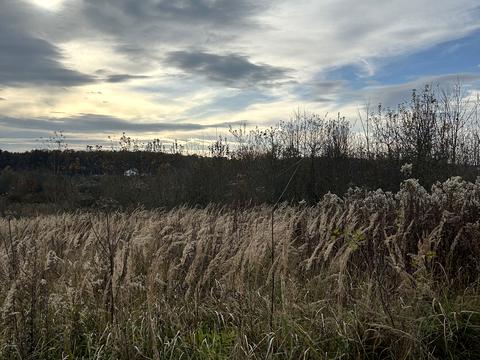 участок по адресу с. Бартатов, Садова