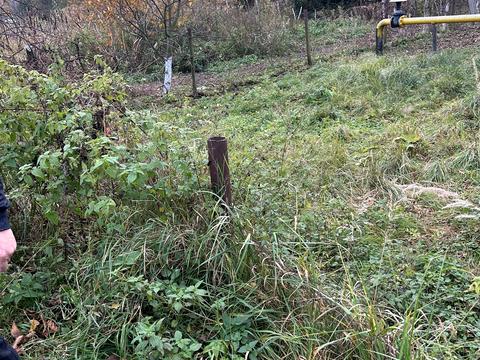 ділянка за адресою Шкільна