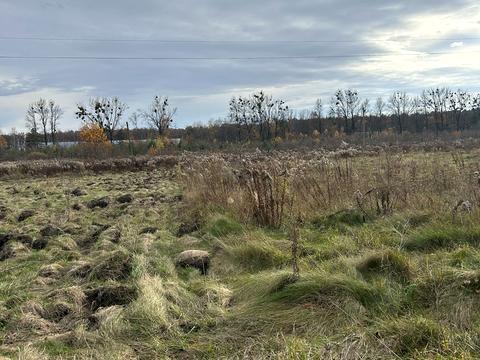 участок по адресу Козацька