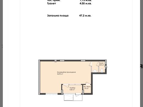 комерційна за адресою Володимира Великого вул., 5