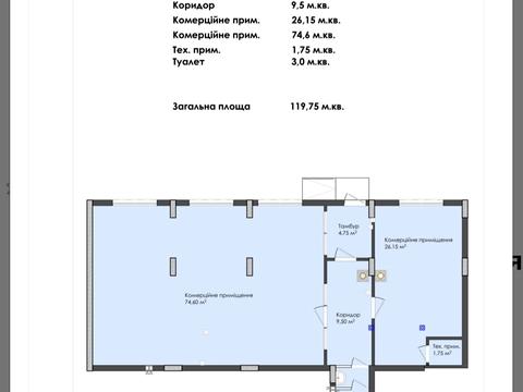 комерційна за адресою Володимира Великого вул., 5