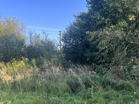 участок по адресу Зелена