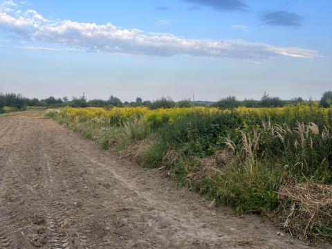 участок по адресу Огородная ул.