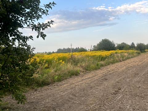 участок по адресу Огородная ул.
