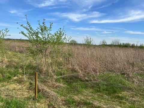 участок по адресу Огородная ул.