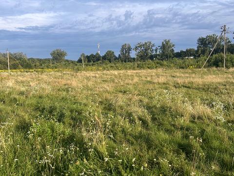 участок по адресу Лісна