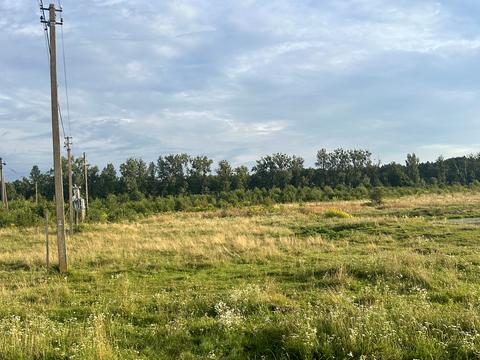 участок по адресу Лісна