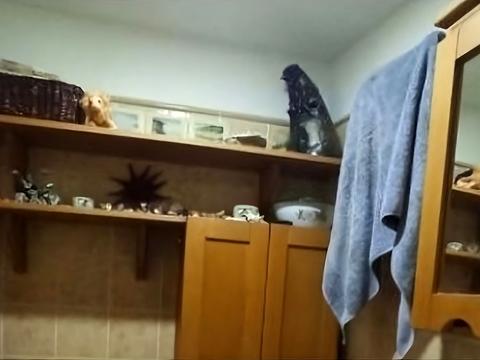 квартира по адресу Канатная ул., 81