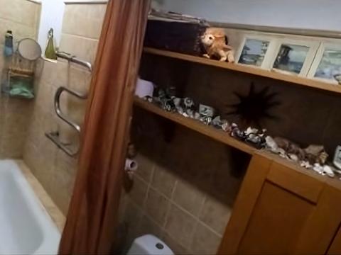 квартира по адресу Канатная ул., 81