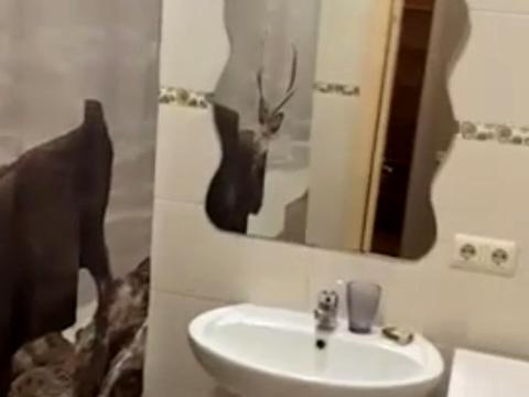 квартира за адресою Перлинна вул., 3