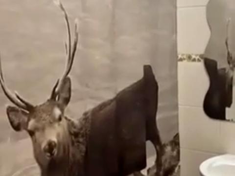 квартира за адресою Перлинна вул., 3