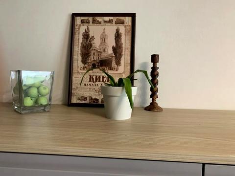 квартира за адресою Митрополита Василя Липківського вул. (Урицького), 33-А